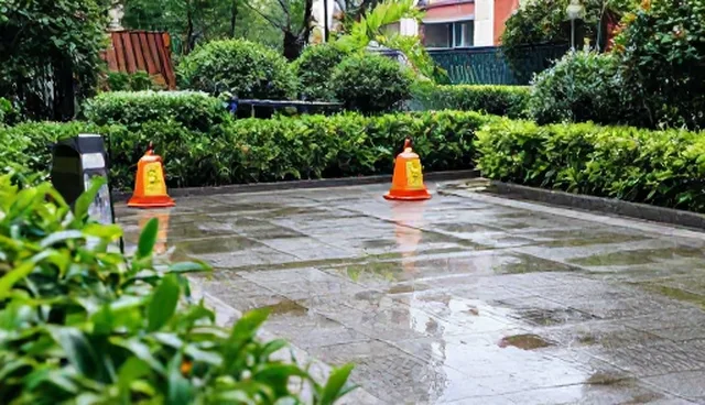 会务活动使用建议:常见问题与处理方法