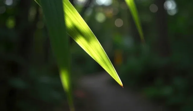 商务代理项目中会务安排对效率的影响